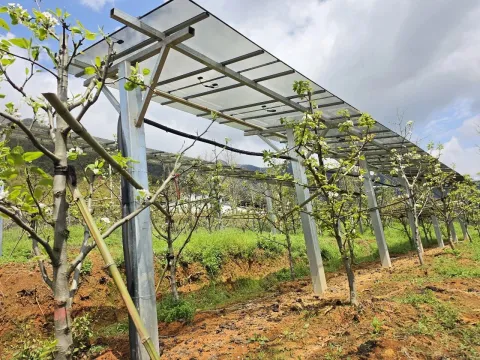 From &ldquo;Prioritizing Solar Power Over Agriculture&rdquo; to &ldquo;Putting Agriculture First&rdquo;
